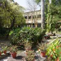 Botanical-garden-1 Botanical-garden-1