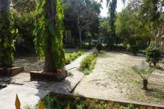 Botanical-garden-2