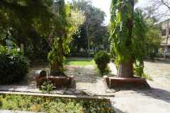 Botanical-garden-3