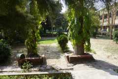 Botanical-garden-4