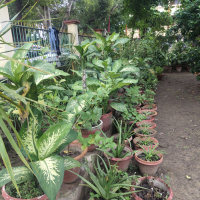 green-flora_19-09-26-12