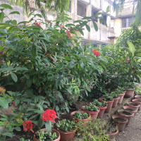 green-flora_19-09-26-4