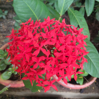 green-flora_19-09-26-6