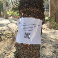 plant-tagging_2-scaled