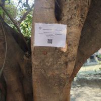 plant-tagging_4-scaled