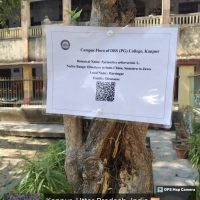 plant-tagging_5-scaled