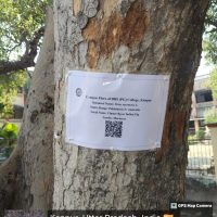 plant-tagging_6-scaled