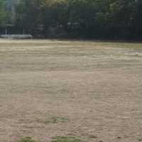 Ground-2