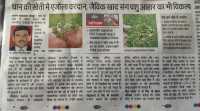 amit-tiwari
