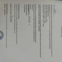 WhatsApp-Image-2026-02-14-at-2.59.33-PM